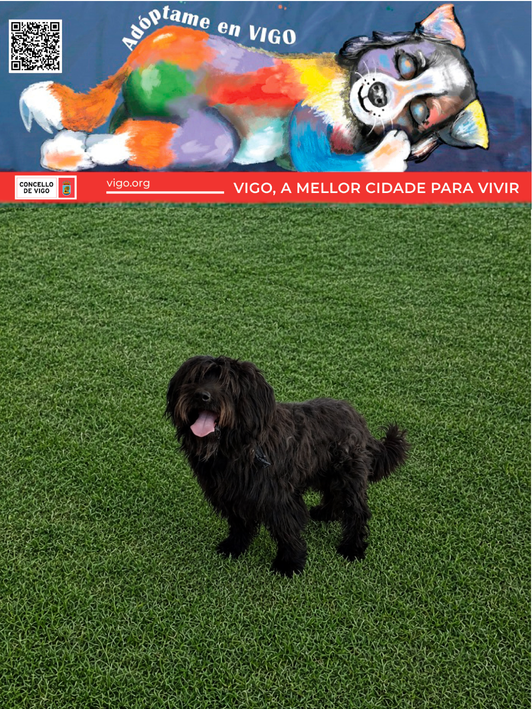 PEPA