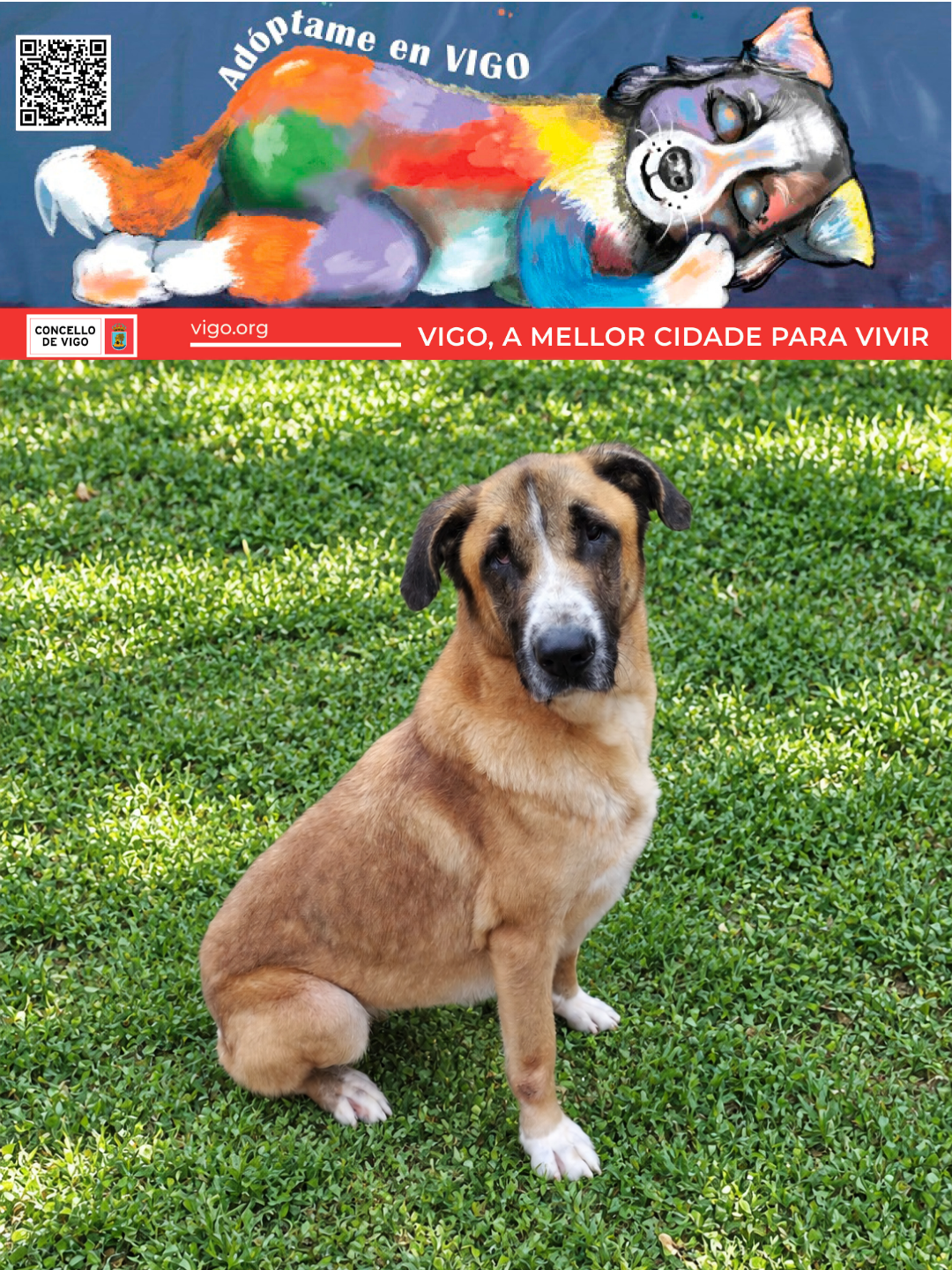 LOLA