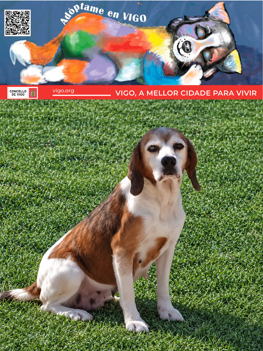 CHULI�A