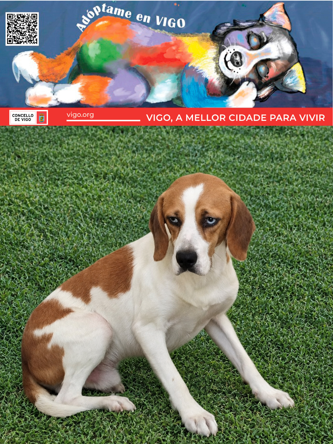 SEGUNDO