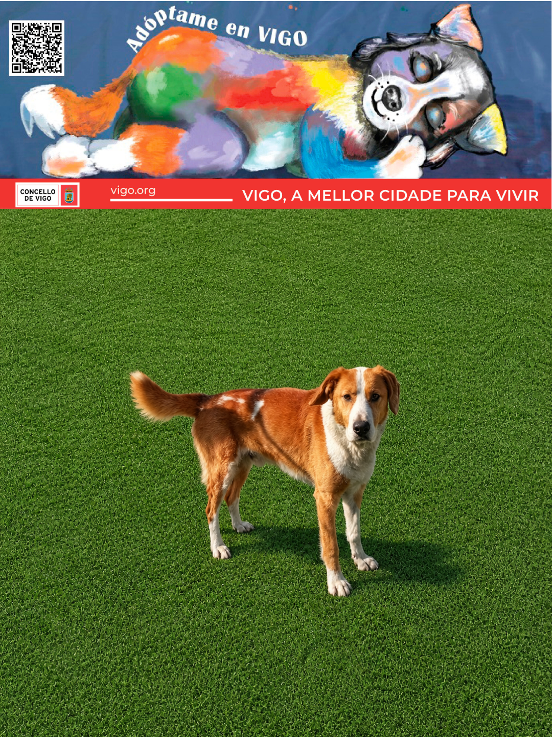 TRIPI